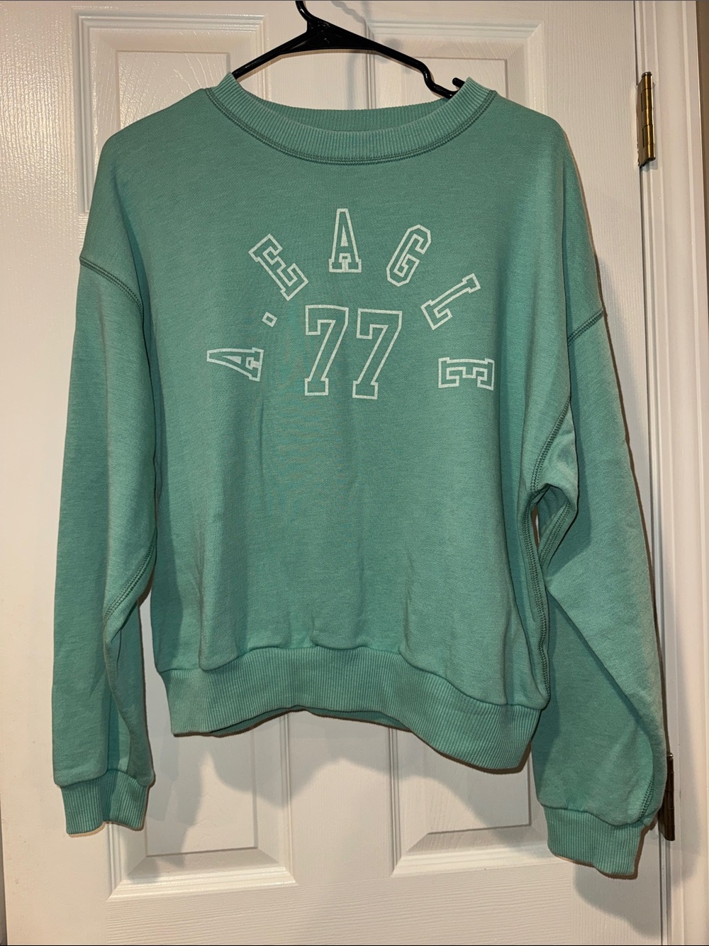 NWT American Eagle Crew Sweatshirt